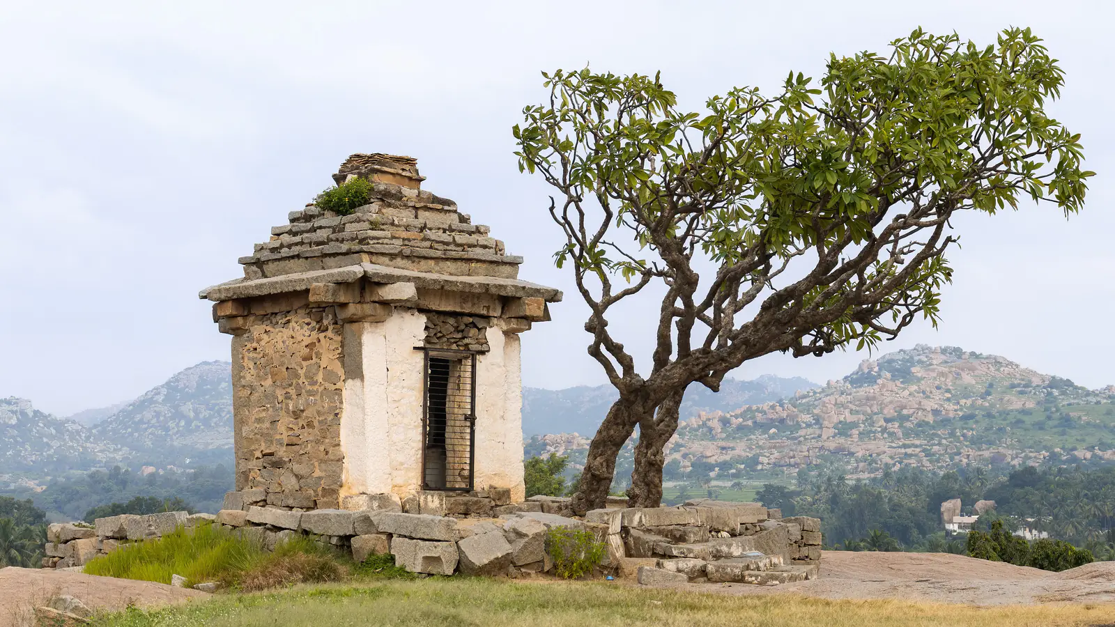 A small stone shrine beside a frangipani tree on a rocky hilltop with hills beyond
